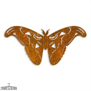 Zawieszalnia – décoration murale 3D Papillon Atlas Paon L 50 cm acier Corten