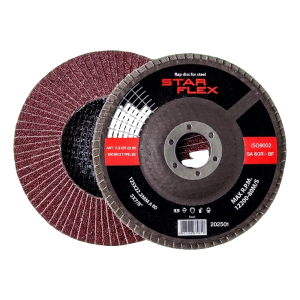 Disque à lamelles bombé Star Flex T29 125 mm pour acier – grain 60